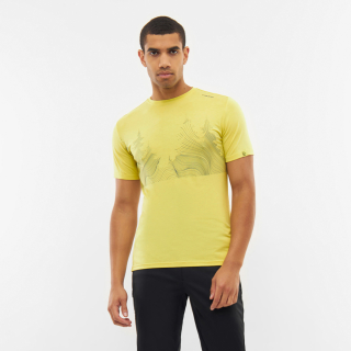T-shirt Lenta Bamboo Light Man Yellow