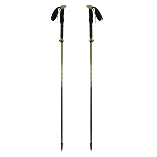 Kije dla dorosłych VIKING Terve 2.0 Trekking zielone