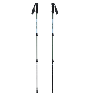 Kije dla dorosłych VIKING Kivi 2.0 Trekking zielone